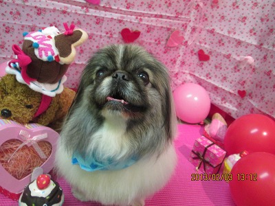 ファイル 6219-2.jpg