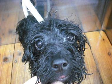 ファイル 622-2.jpg