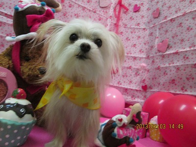 ファイル 6220-2.jpg