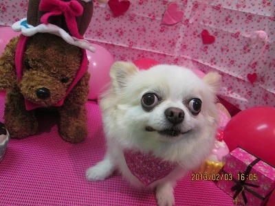 ファイル 6221-2.jpg