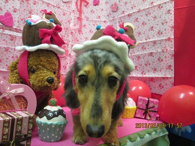 ファイル 6222-2.jpg