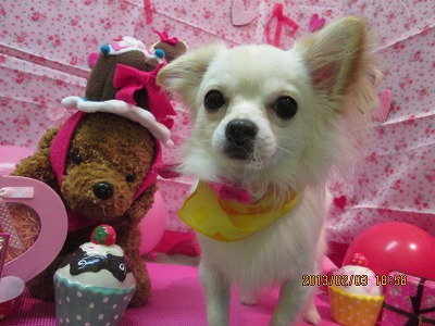 ファイル 6223-1.jpg