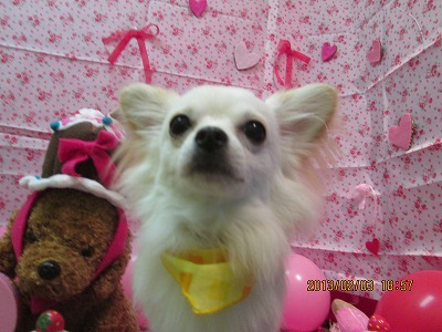 ファイル 6223-2.jpg