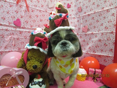 ファイル 6224-1.jpg