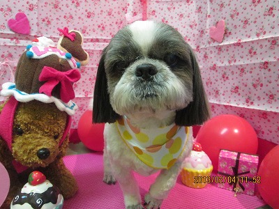 ファイル 6224-2.jpg