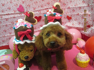 ファイル 6225-2.jpg