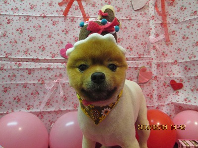 ファイル 6228-1.jpg