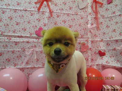 ファイル 6228-2.jpg