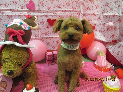 ファイル 6229-1.jpg