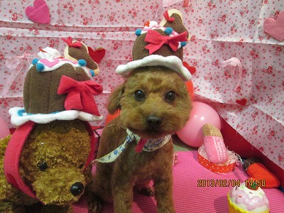 ファイル 6229-2.jpg