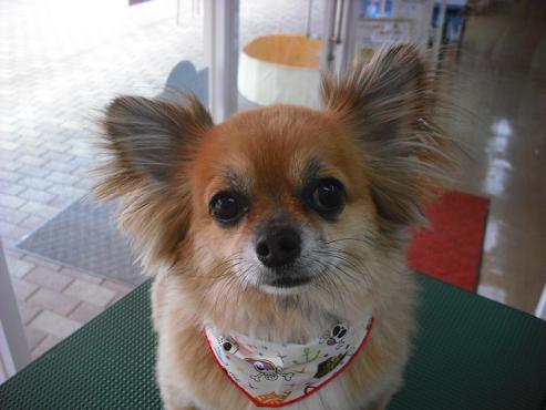 ファイル 623-1.jpg