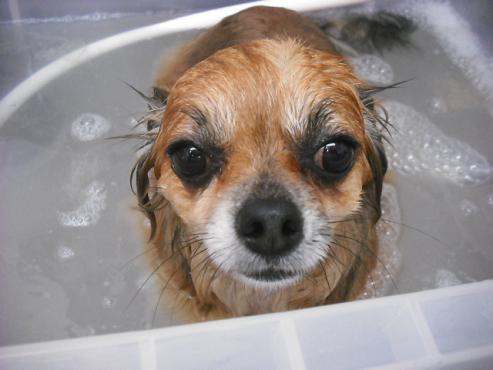 ファイル 623-3.jpg