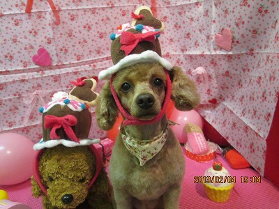 ファイル 6230-1.jpg