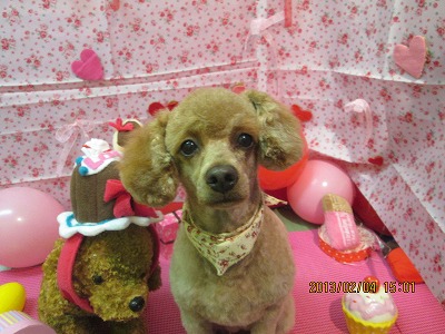 ファイル 6230-2.jpg