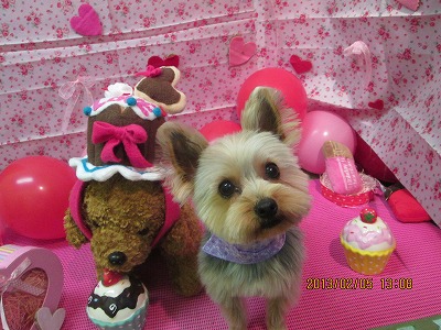 ファイル 6232-1.jpg