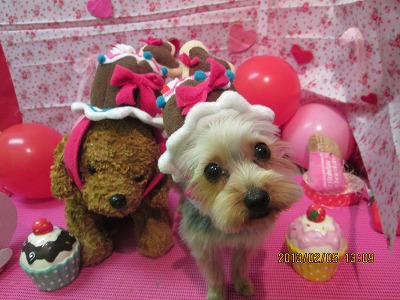 ファイル 6232-2.jpg