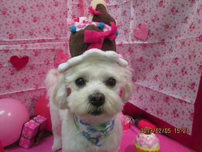 ファイル 6233-1.jpg