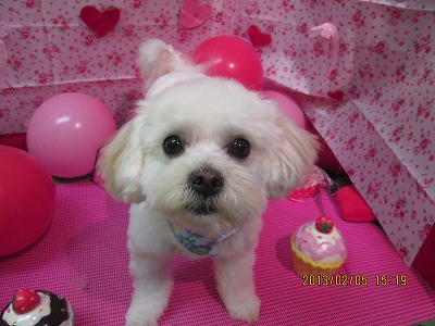 ファイル 6233-2.jpg