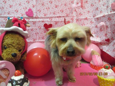 ファイル 6234-2.jpg