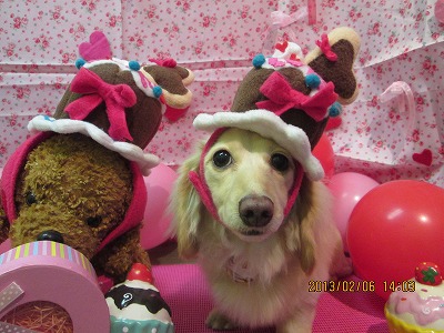 ファイル 6235-1.jpg