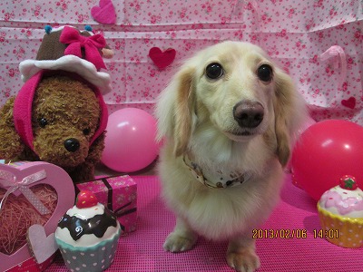 ファイル 6235-2.jpg