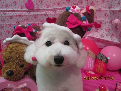 ファイル 6236-1.jpg