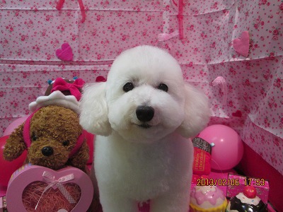 ファイル 6236-2.jpg