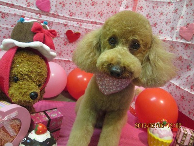 ファイル 6237-2.jpg