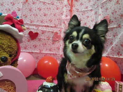 ファイル 6238-1.jpg