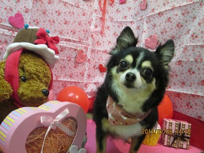 ファイル 6238-2.jpg