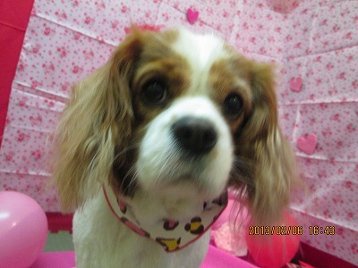 ファイル 6239-2.jpg