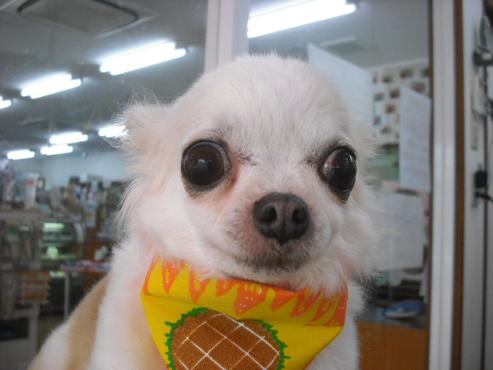 ファイル 624-1.jpg