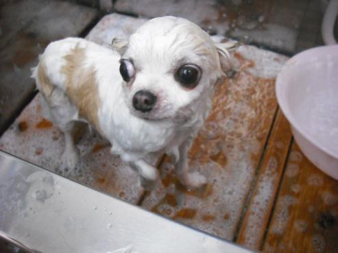 ファイル 624-2.jpg