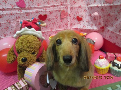 ファイル 6240-2.jpg