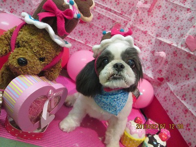 ファイル 6241-1.jpg