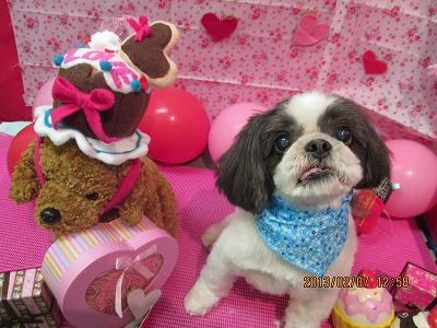 ファイル 6241-2.jpg