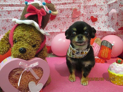 ファイル 6243-2.jpg