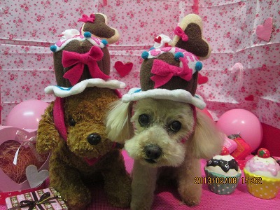 ファイル 6244-1.jpg