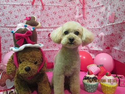 ファイル 6244-2.jpg