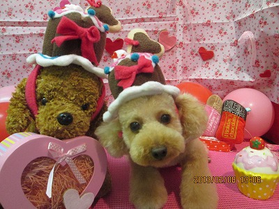 ファイル 6246-1.jpg