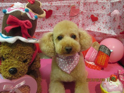 ファイル 6246-2.jpg