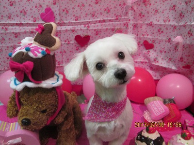 ファイル 6247-2.jpg