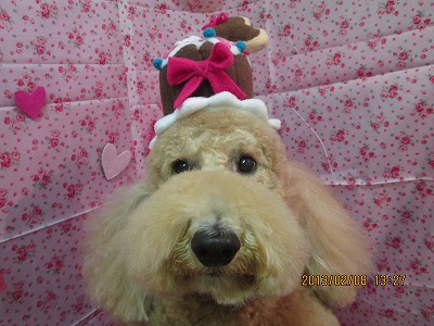 ファイル 6248-1.jpg