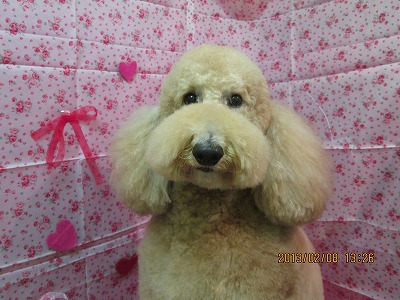 ファイル 6248-2.jpg