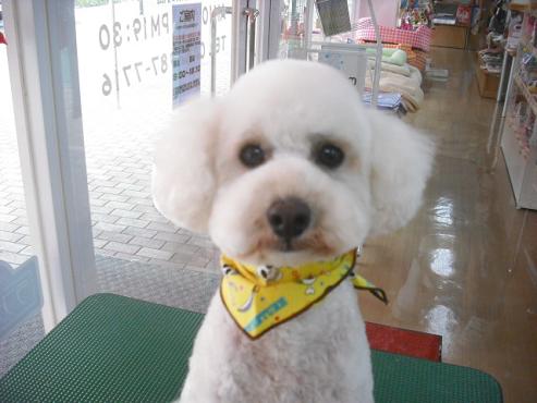 ファイル 625-1.jpg