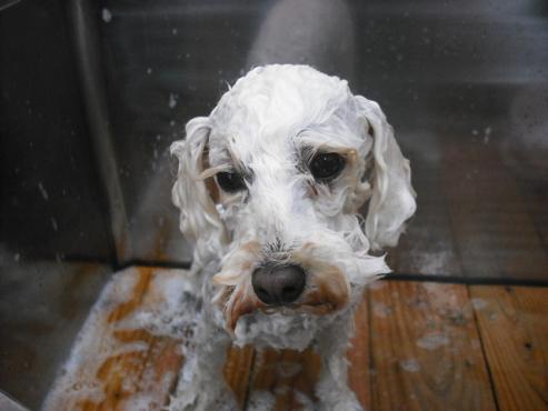 ファイル 625-3.jpg