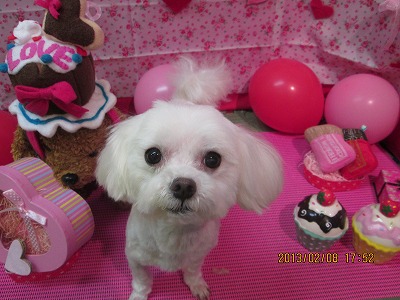 ファイル 6250-1.jpg