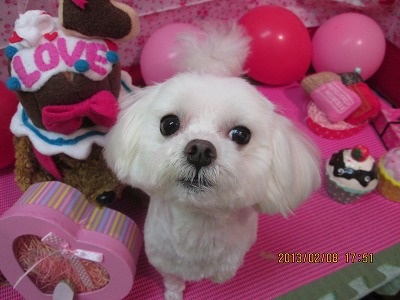 ファイル 6250-2.jpg