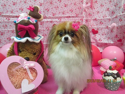 ファイル 6251-1.jpg