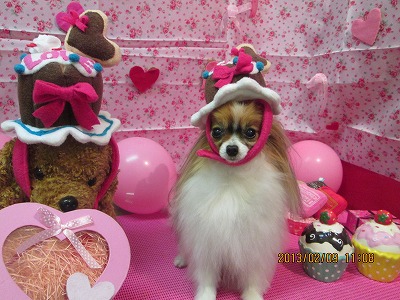 ファイル 6251-2.jpg